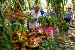 Guia Turismo Comunitario